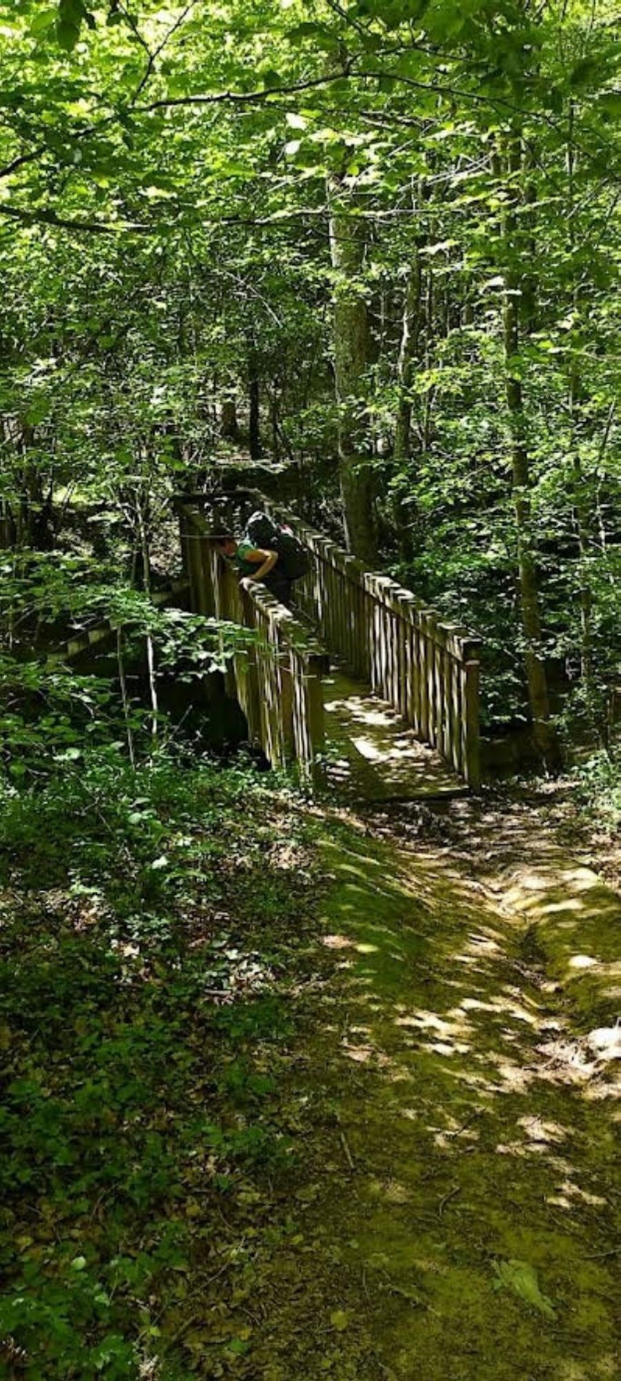 Petit pont avant l’Hôpital Saint-Blaise